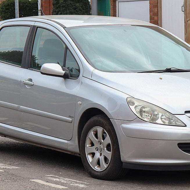 Peugeot 307 Ski Rack/Carrier