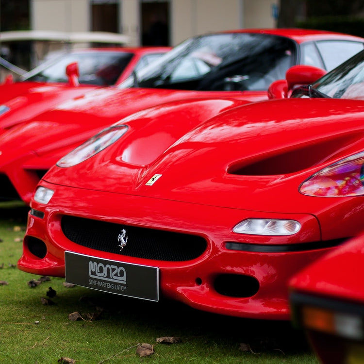 Ferrari F50 Bike Rack/Carrier