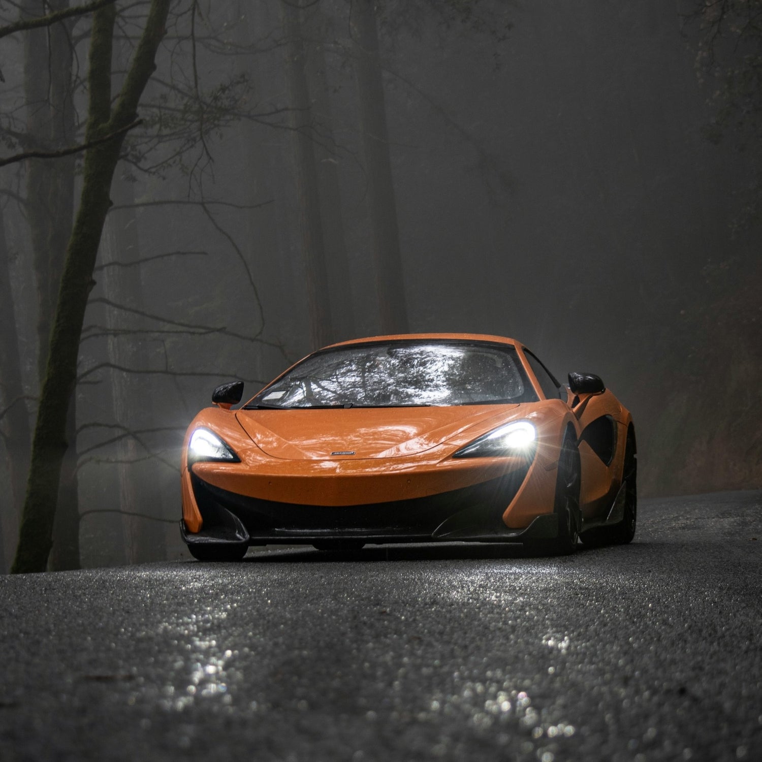 Mclaren 570GT Bike Rack/Carrier