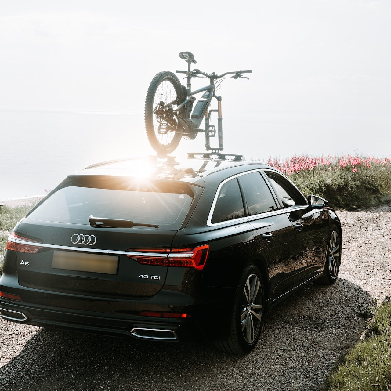 Audi A6 Bike Rack/Carrier