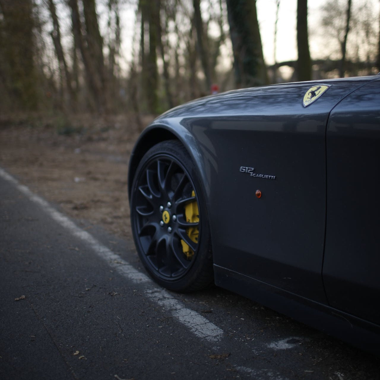 Ferrari 612 Scaglietti Ski Rack/Carrier