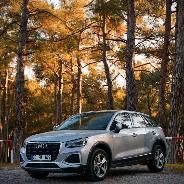 Audi Q2 Ski Rack/Carrier