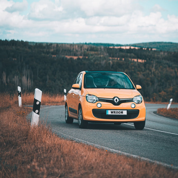 Renault Twingo Bike Rack/Carrier