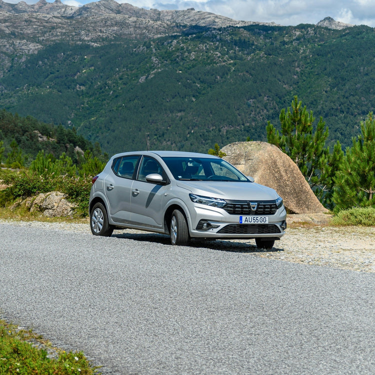 Dacia Sandero Ski Rack/Carrier